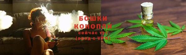 СК Вязьма