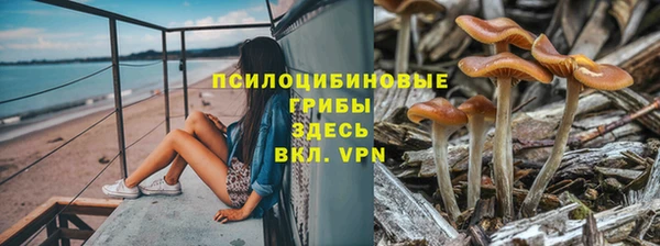 спиды Вязники
